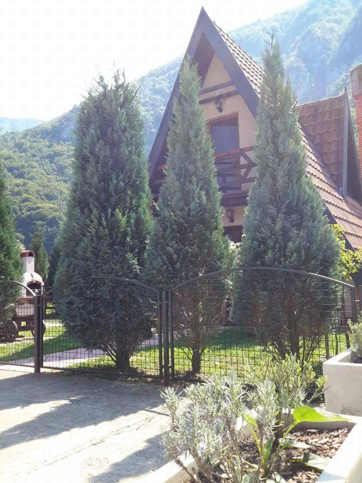 Viola I Detelina Apartments Perucac Exteriér fotografie