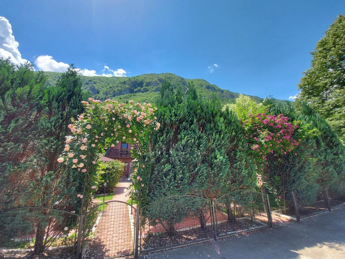 Viola I Detelina Apartments Perucac Exteriér fotografie